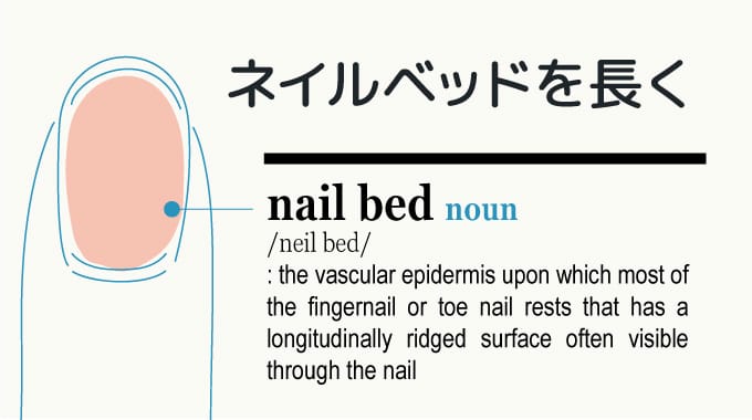 ネイルベッドを伸ばす