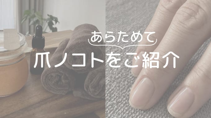 爪ノコトをあらためてご紹介